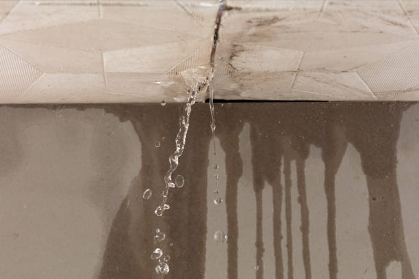 Professional Water Damage Inspection technician working in Nevada, IA